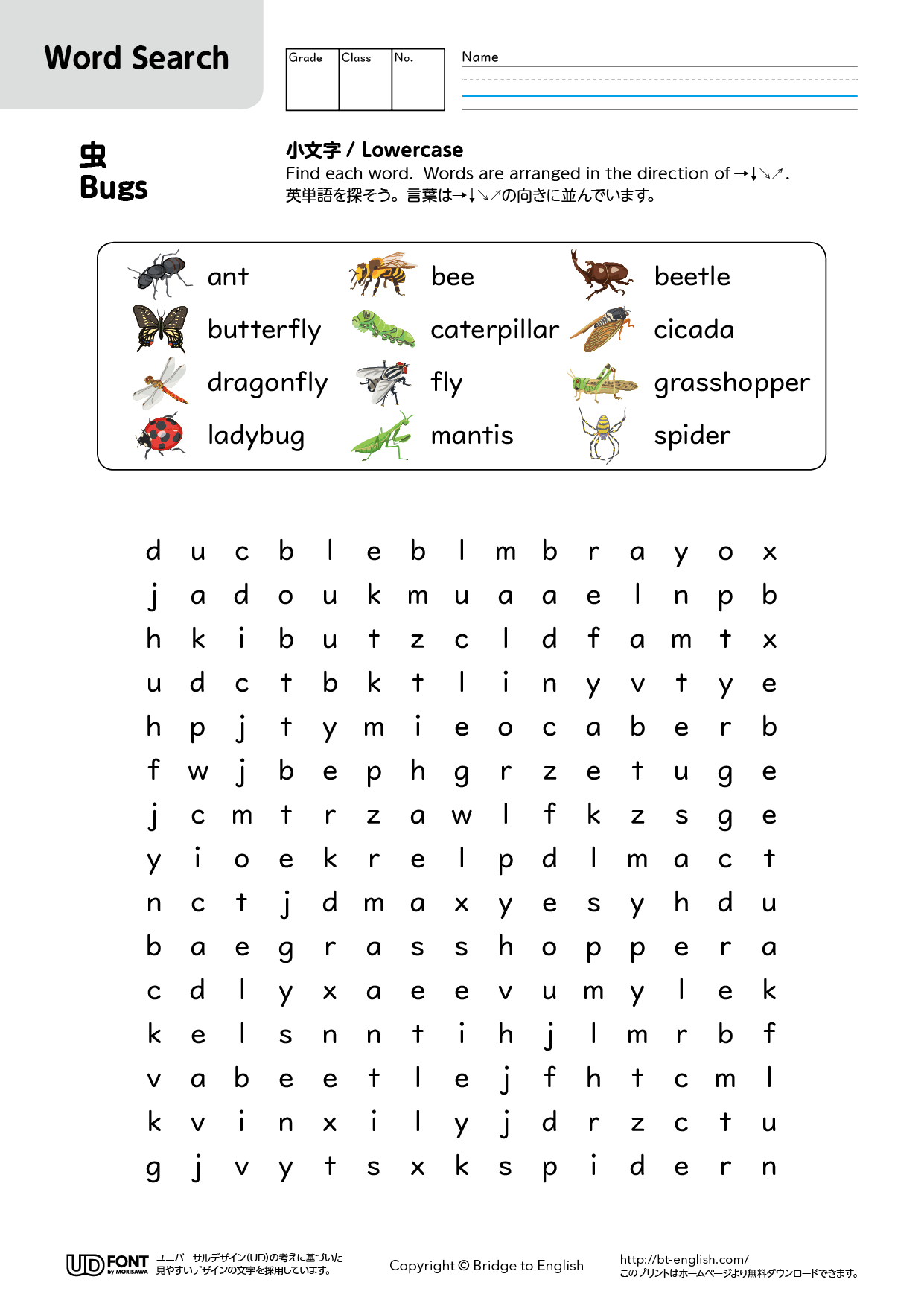 ワードサーチ 虫 小文字 Bridge To English